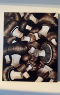 Mushroom Overdose, 16x20 Inch Original